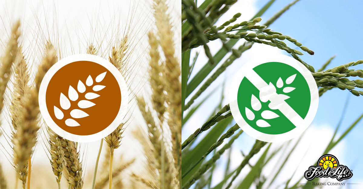 Difference Between Gluten Free and Wheat Free | Food For Life